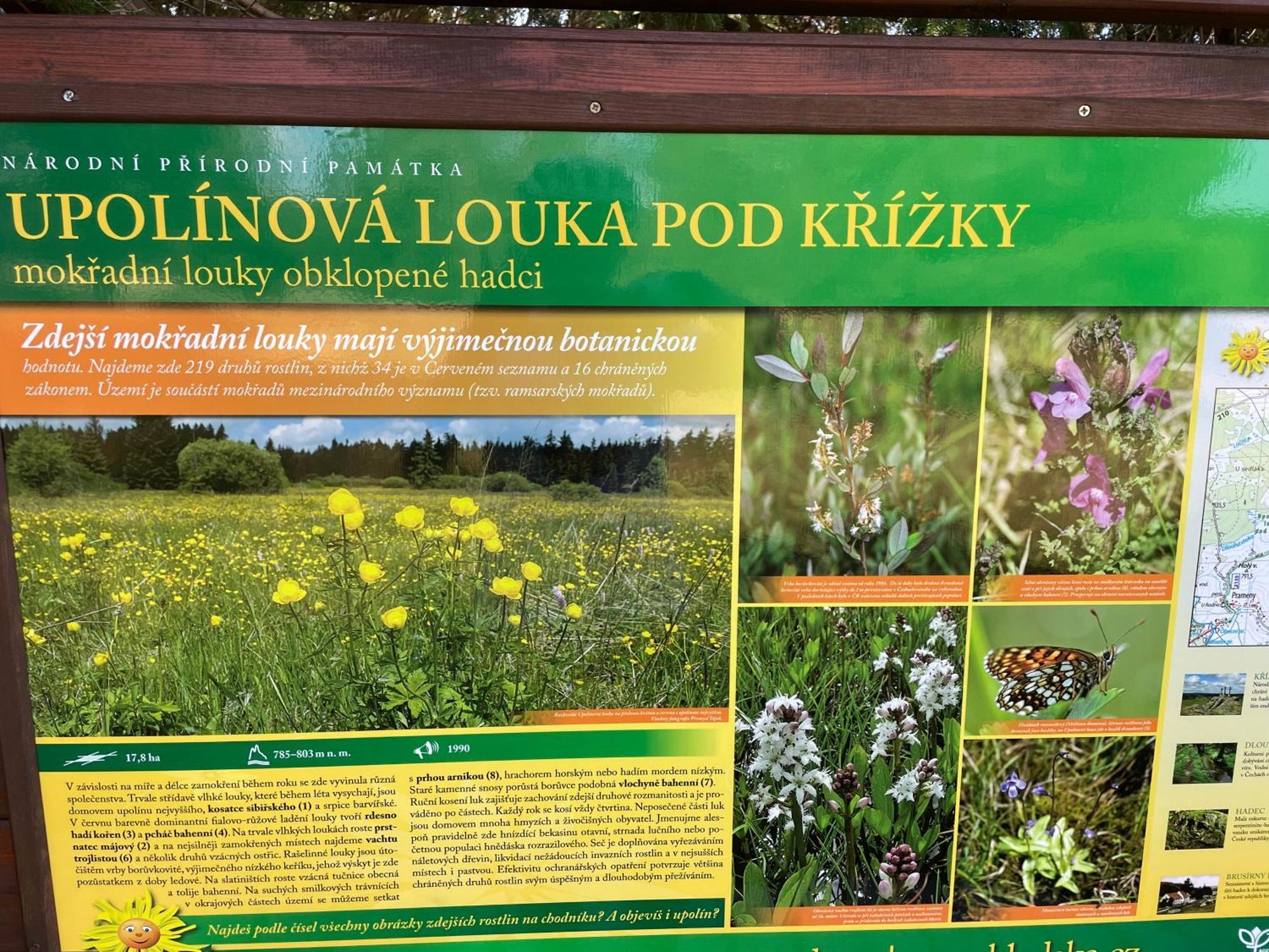 Na Nebi 187 Aparthotel Bečov nad Teplou Buitenkant foto